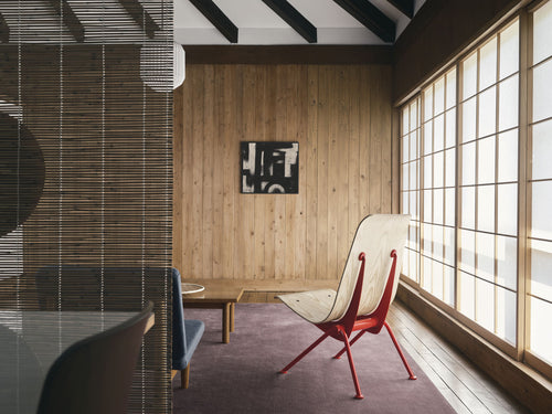 Antony Limited Edition 2025