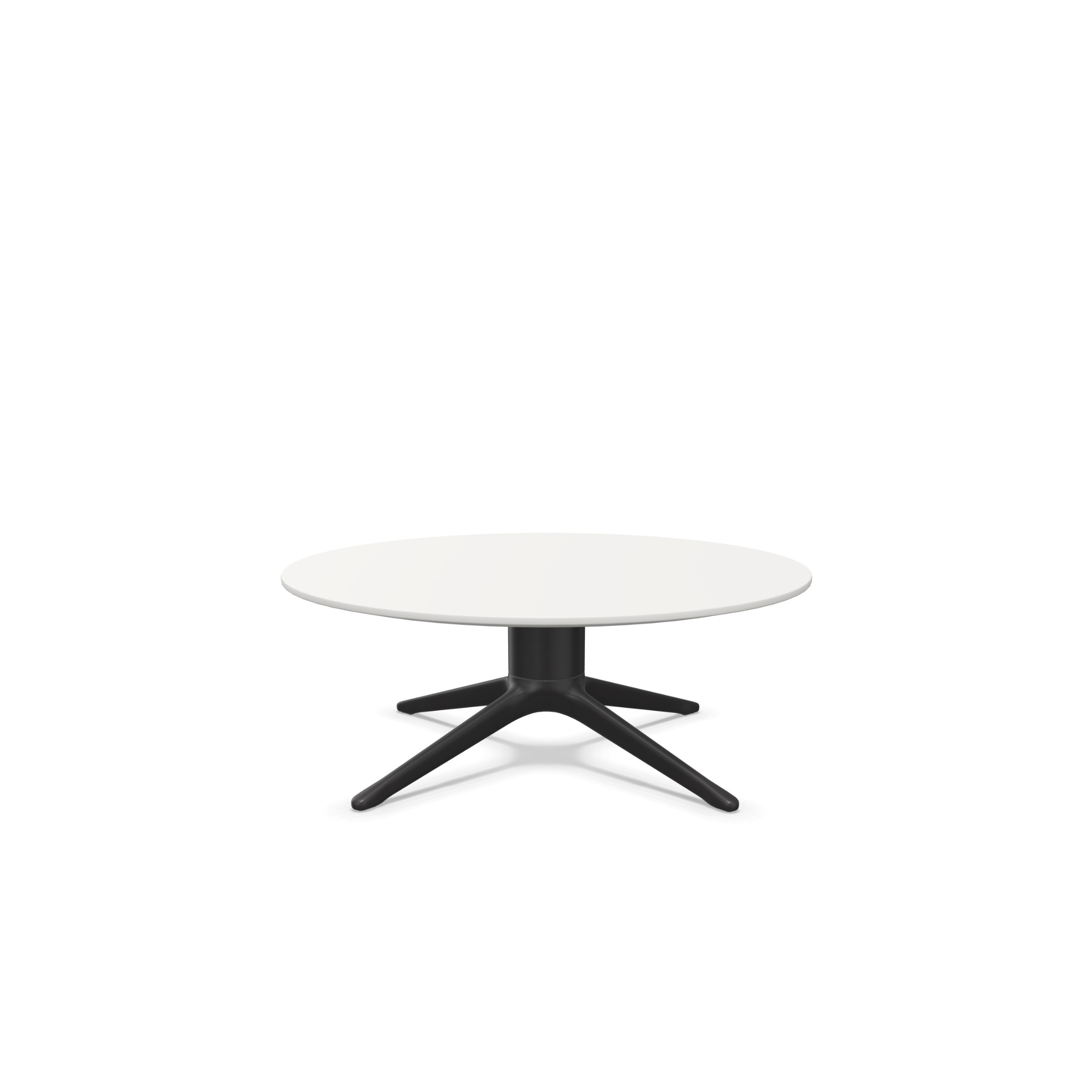 Abalon Table
