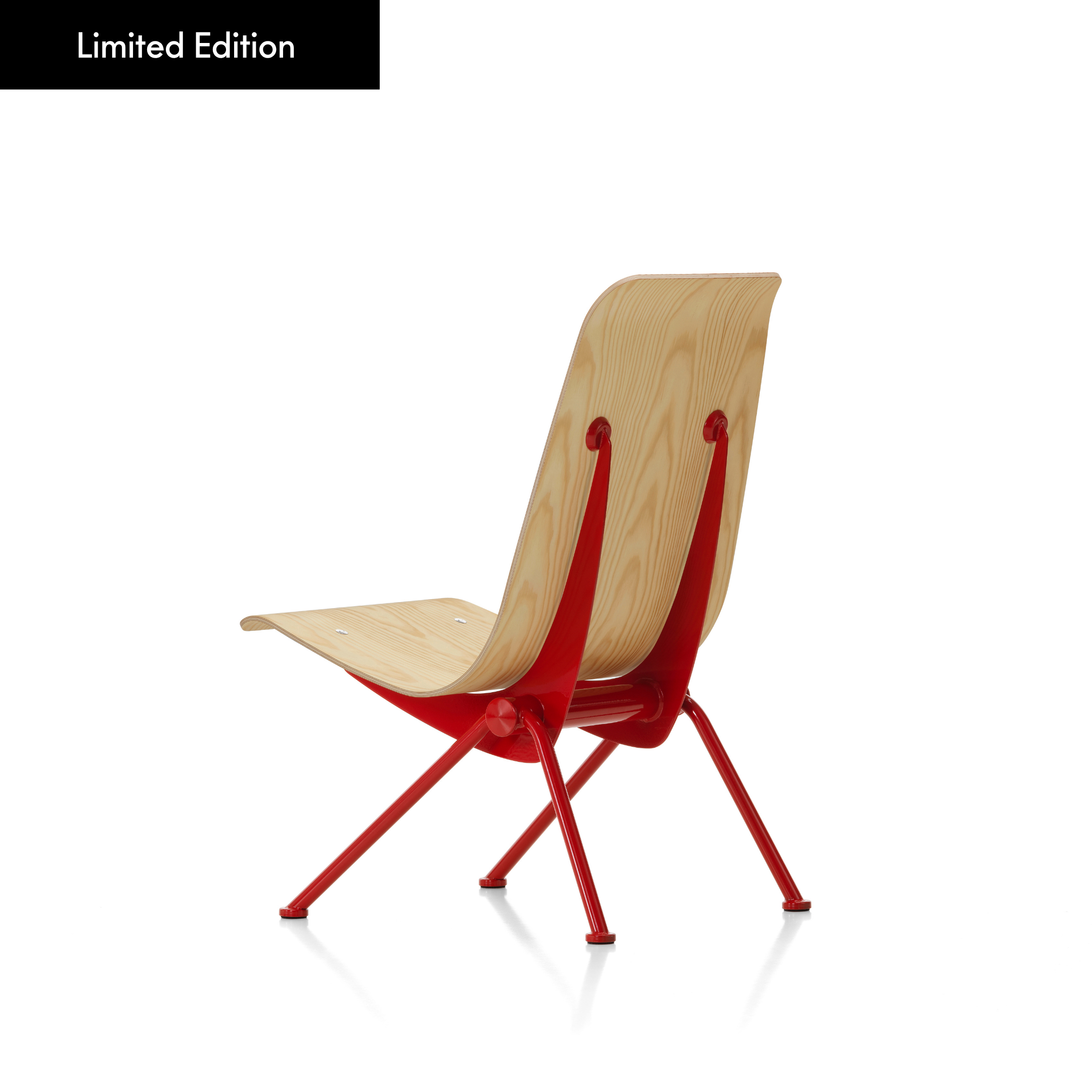 Antony Limited Edition 2025