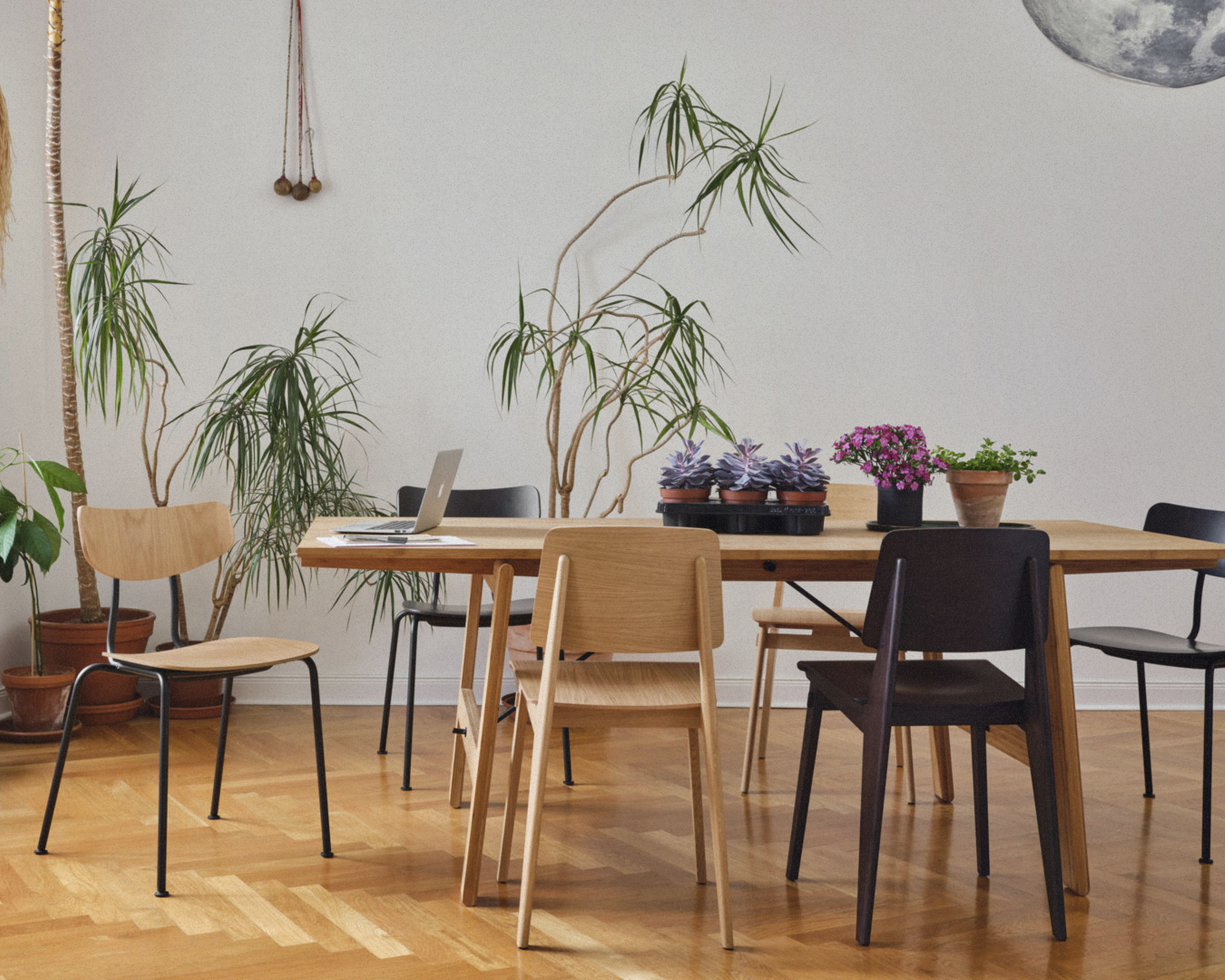 Chaise Tout Bois