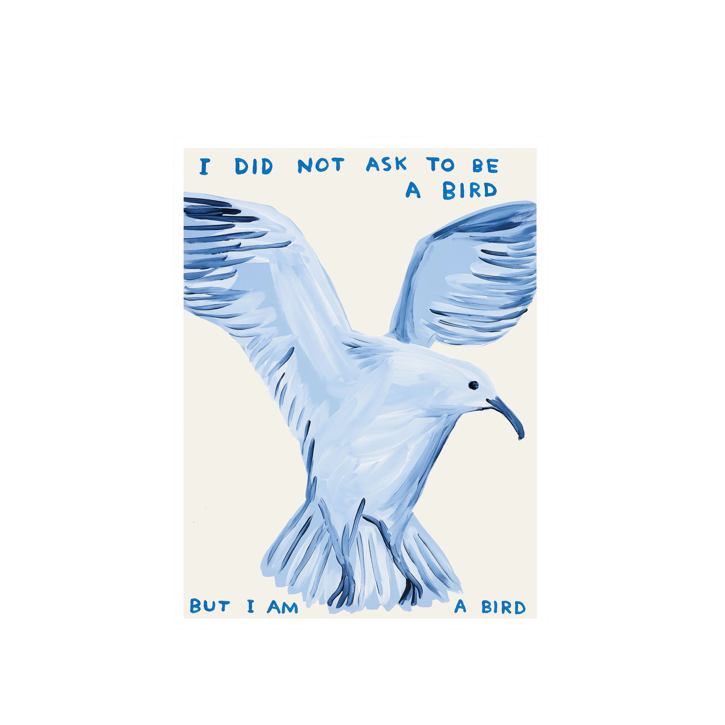 I Did Not Ask To Be a Bird