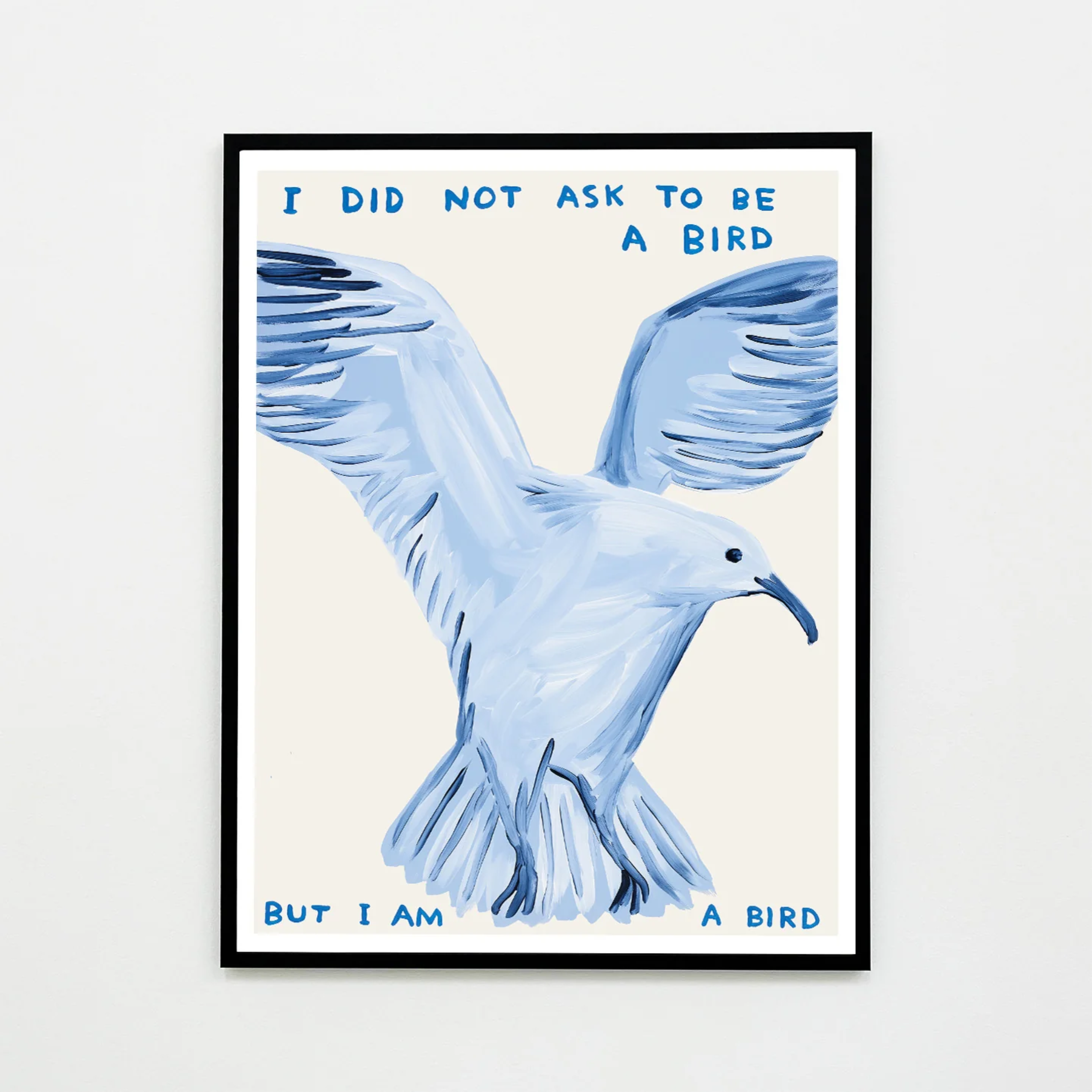 I Did Not Ask To Be a Bird