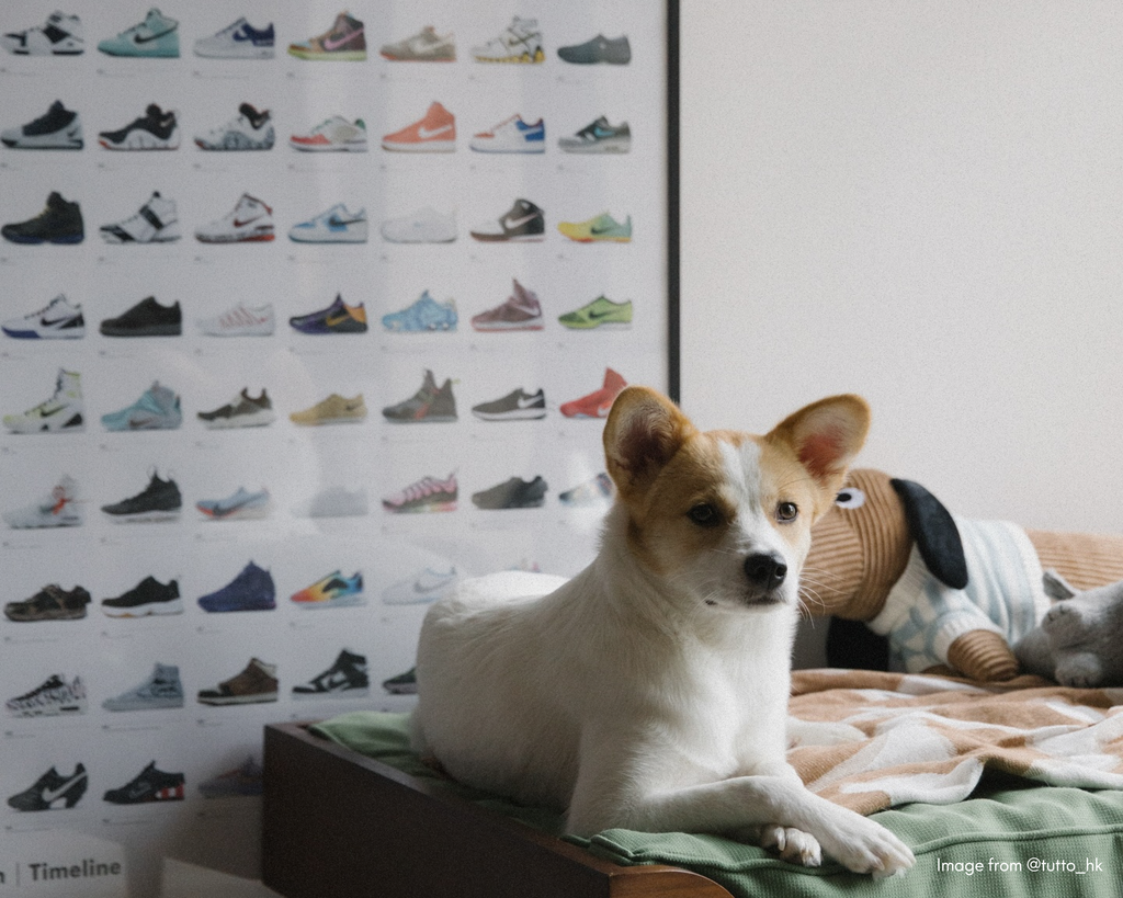 Poster Garis Masa Nike