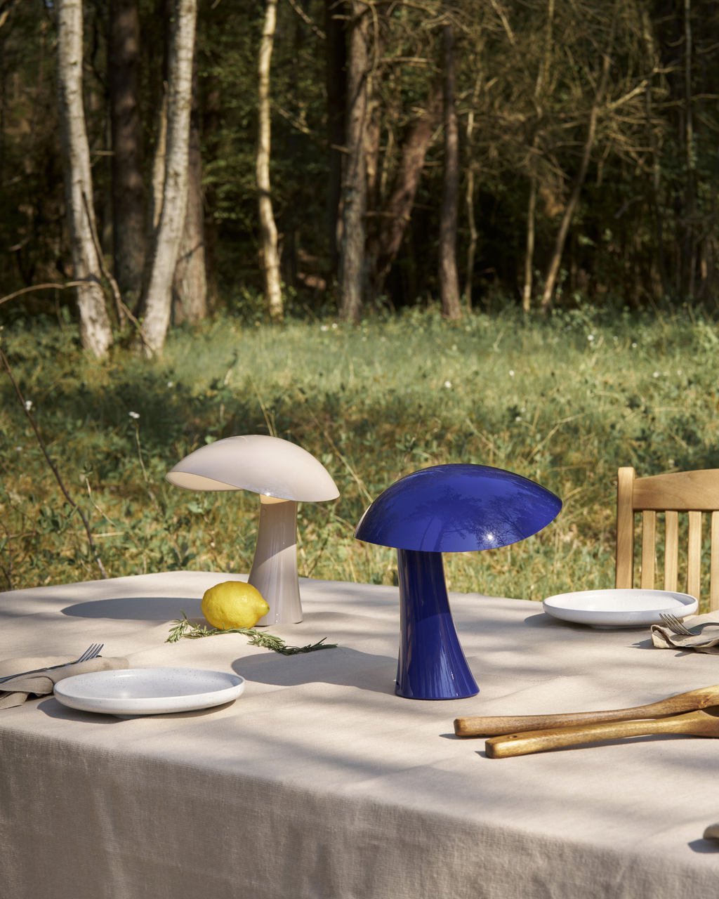 Rumee 220 Portable Lamp