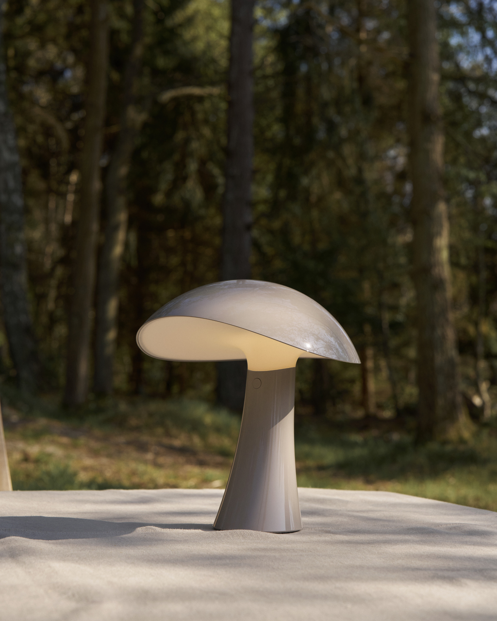 Rumee 220 Portable Lamp