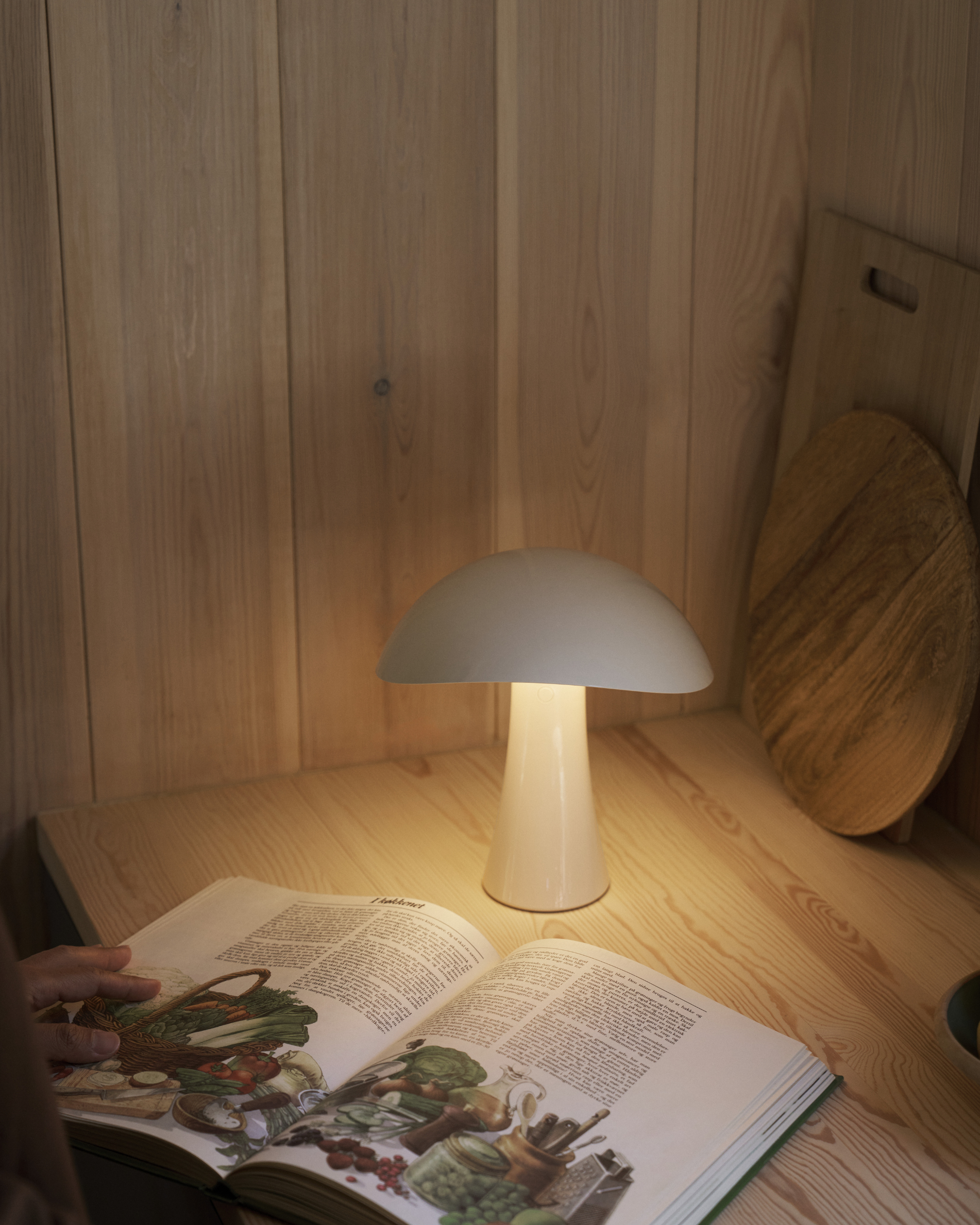 Rumee 220 Portable Lamp