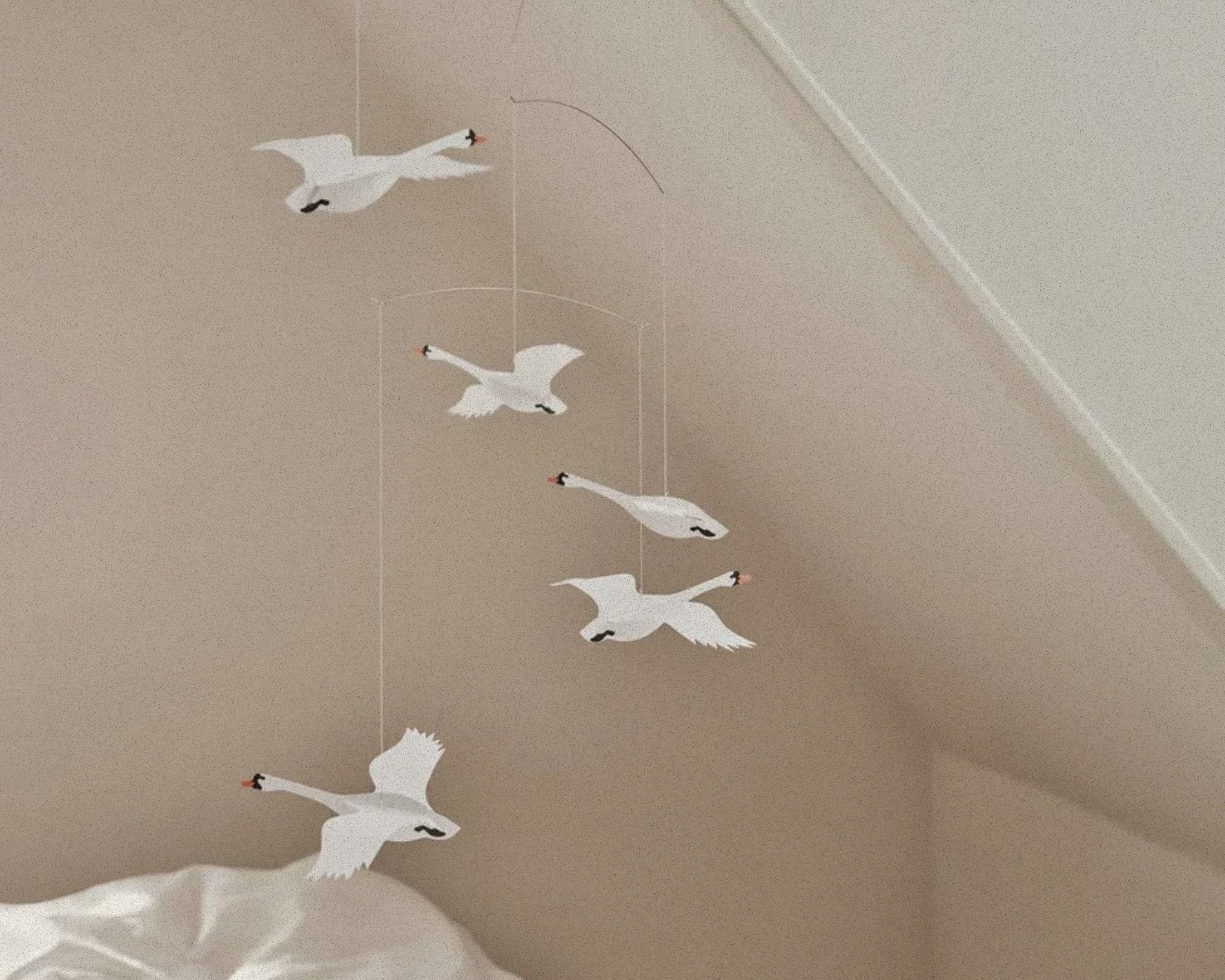 Scandinavian Swans
