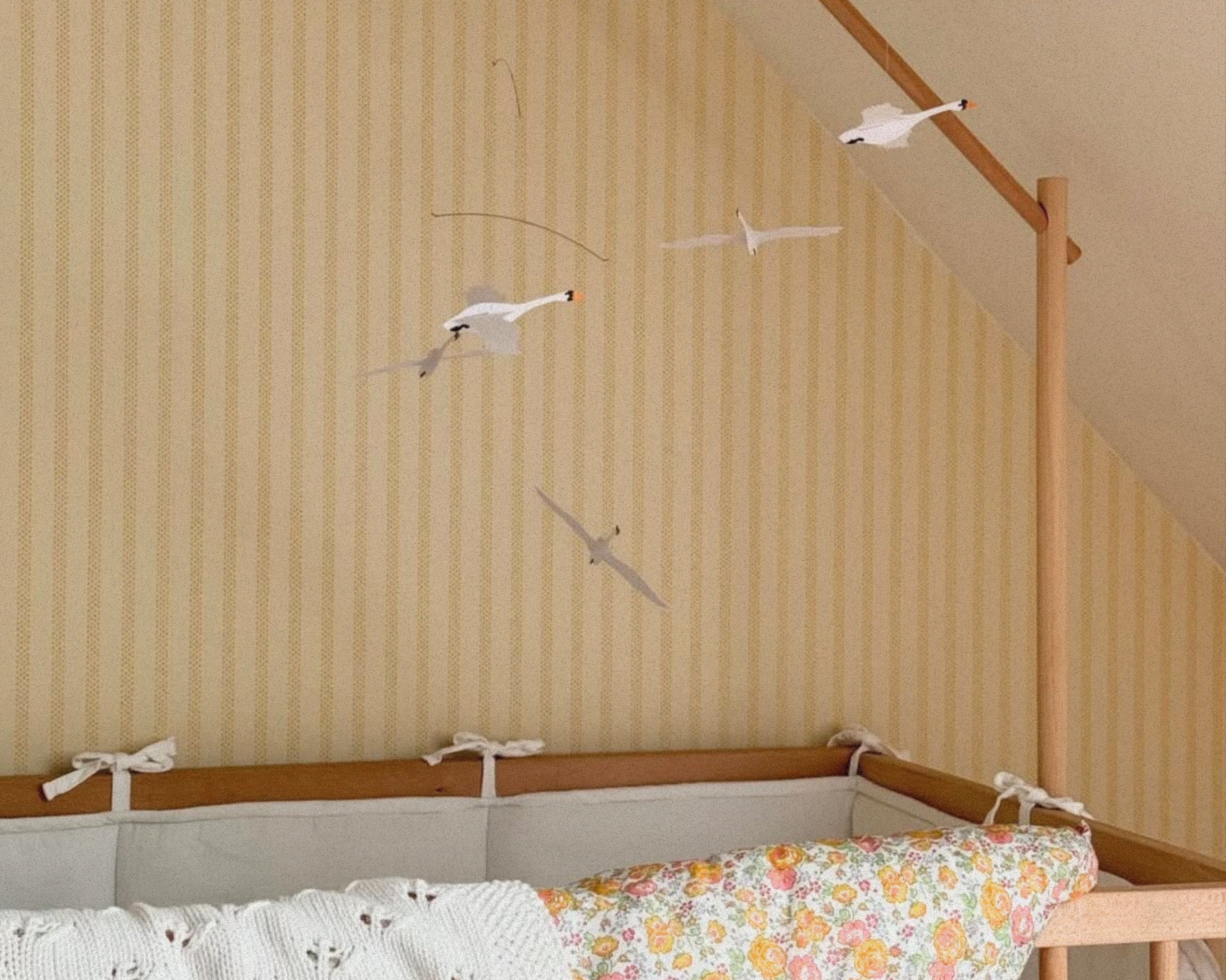 Scandinavian Swans