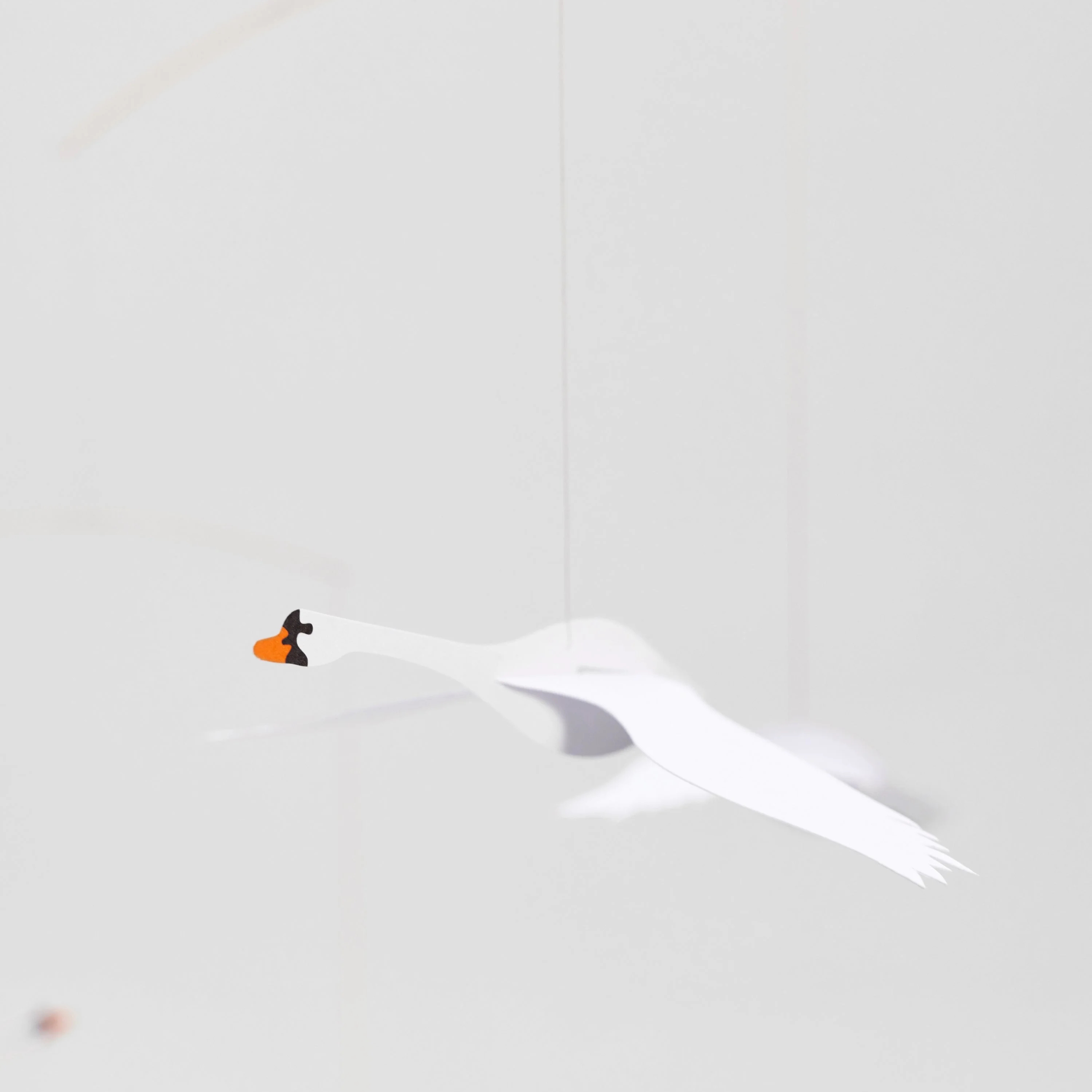Scandinavian Swans