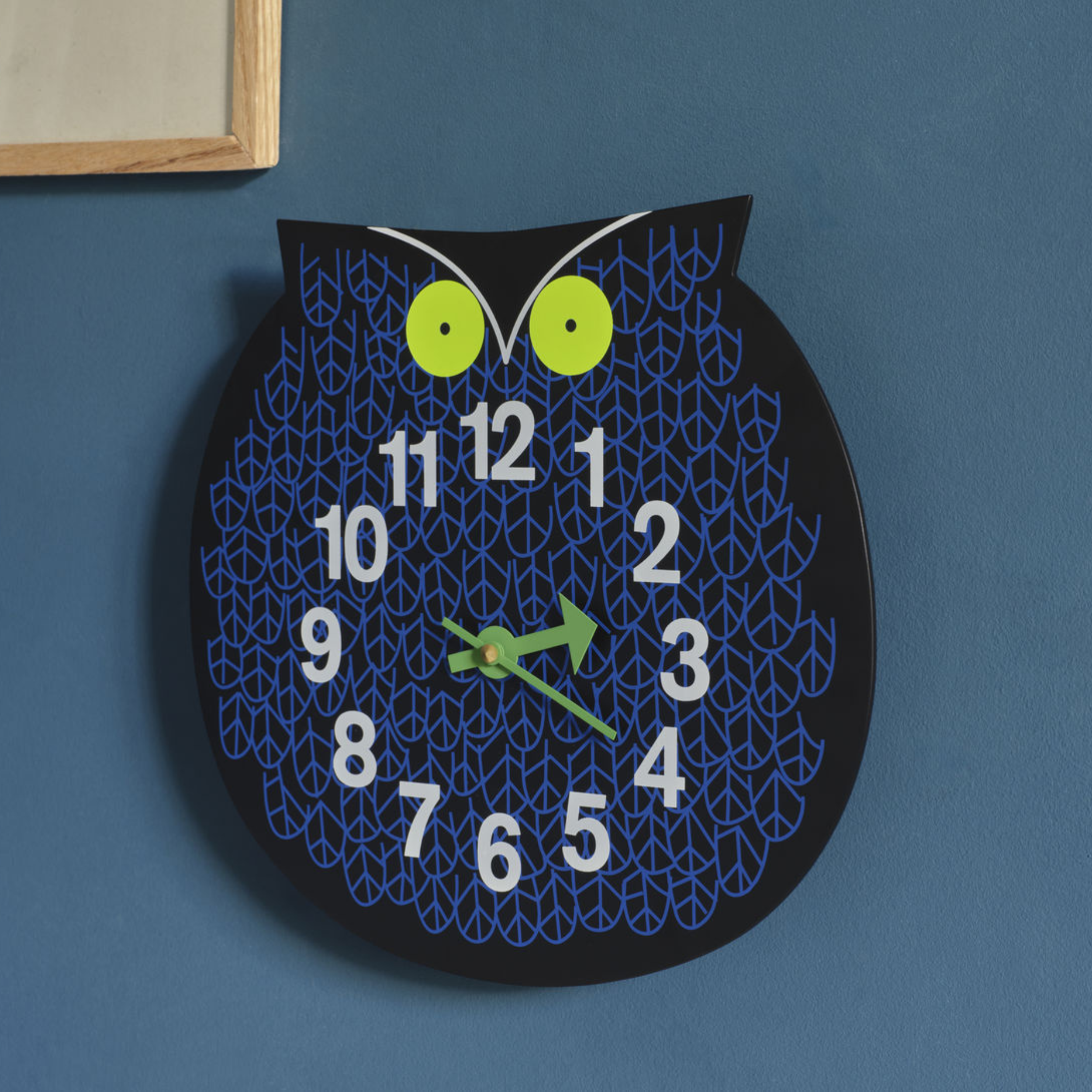 Zoo Timers - Omar the Owl