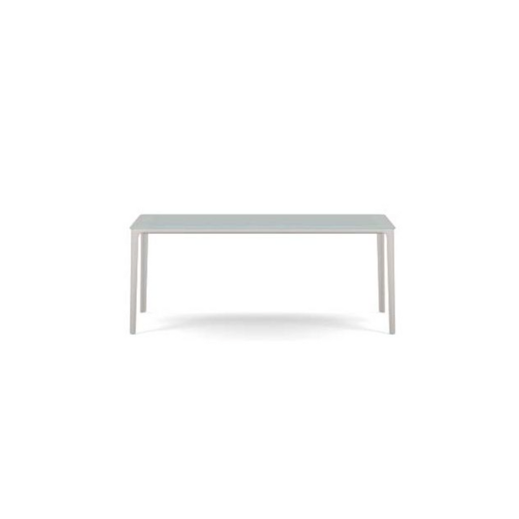 Plate Dining Table